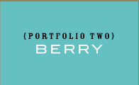 Portfolio Two Berry
